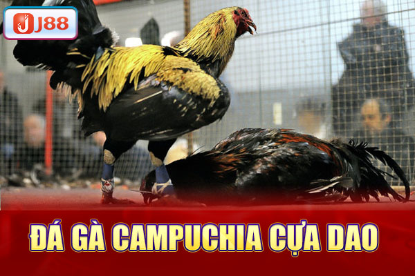 Đá gà Campuchia cựa dao